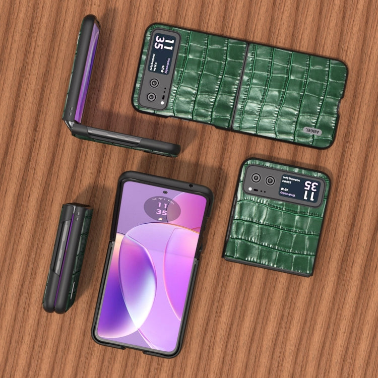 For Motorola Razr 40 ABEEL Crocodile Texture Genuine Leather Phone Case(Green) by buy2fix