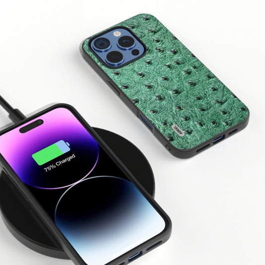 For iPhone 16 Pro Max ABEEL Genuine Leather Ostrich Texture Phone Case(Green) by buy2fix