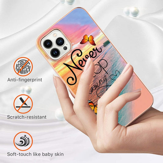 For iPhone 16 Pro Max Electroplating Pattern IMD TPU Shockproof Case(Dream Chasing Butterfly) by buy2fix