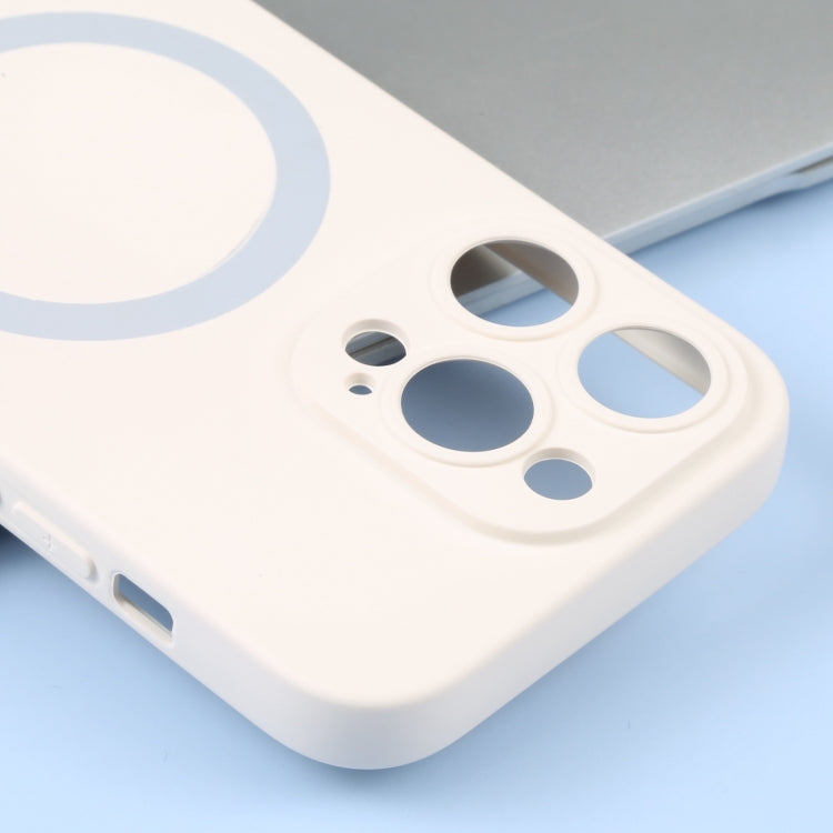 For iPhone 16 Pro Liquid Silicone Magsafe Phone Case(White) by buy2fix