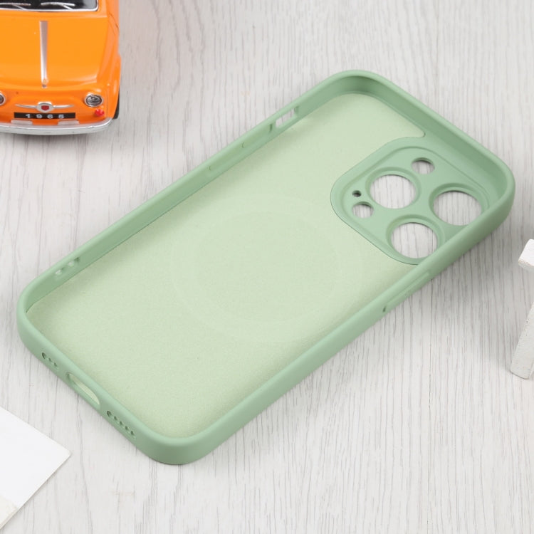 For iPhone 16 Plus Liquid Silicone Magsafe Phone Case(Green) by buy2fix