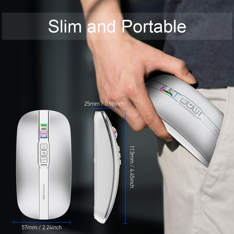 HXSJ M113 2400DPI Dual Mode 2.4GHz + Bluetooth 5.1 Wireless Mouse(Space Silver) by HXSJ