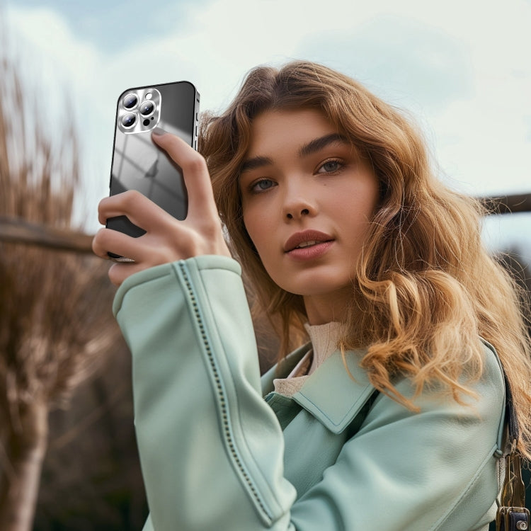 For iPhone 16 Pro Frosted Metal Phone Case(Silver) by buy2fix