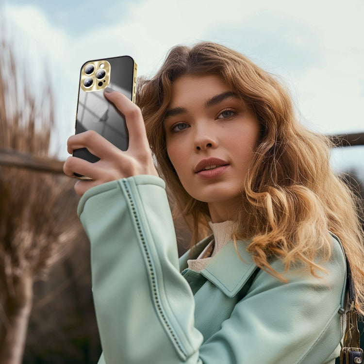 For iPhone 16 Pro Frosted Metal Phone Case(Gold) by buy2fix