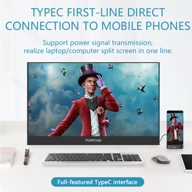 17.3 inch FHD 1920x1080P IPS Screen Portable Monitor(No Charger) by buy2fix