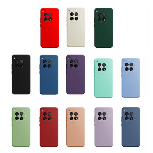 For OnePlus 12 Imitation Liquid Silicone Phone Case(Light Purple) by buy2fix