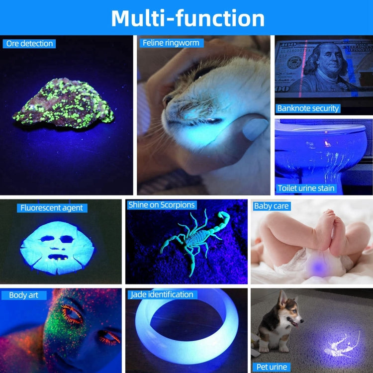 V4-365 Black Lens 365nm Ultraviolet Ray Detection Flashlight(Black) by buy2fix