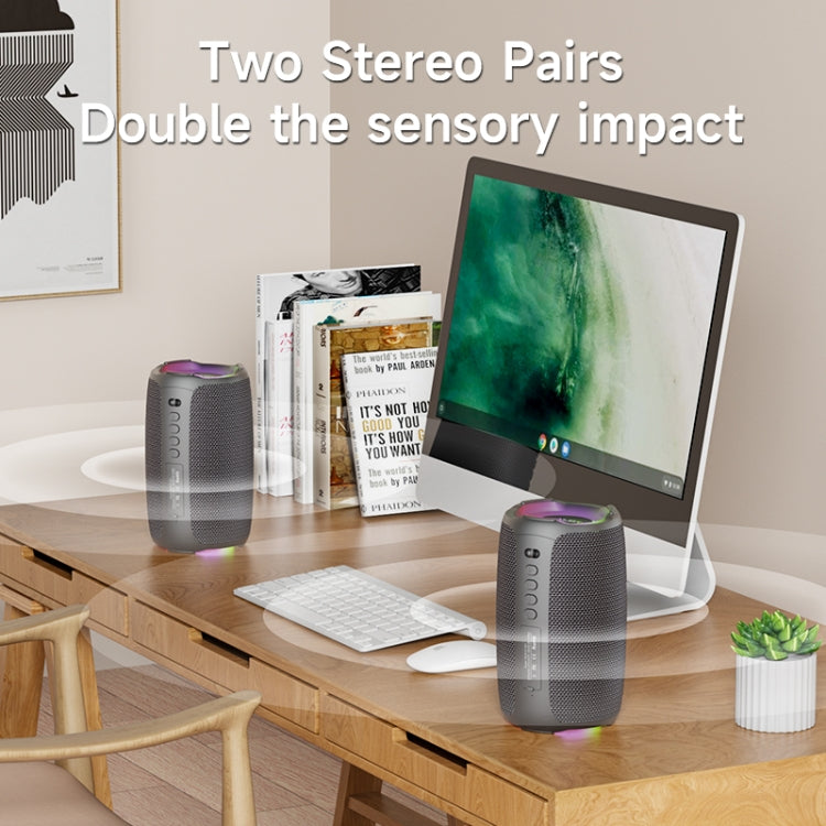 Zealot S61M RGB Rhythmic Light Karaoke Wireless Speaker, Style:Dual Mic(Black) by ZEALOT