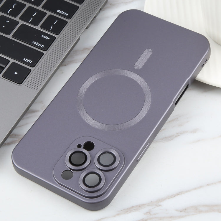 For iPhone 16 Pro Liquid TPU Silicone Solid Color MagSafe Phone Case(Grey) by buy2fix