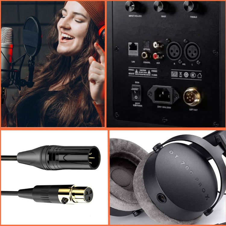 Mini XLR Female to XLR Male Audio Mixer Mini Microphone Coiled Audio Cable, Length: 0.5m(Black) by buy2fix