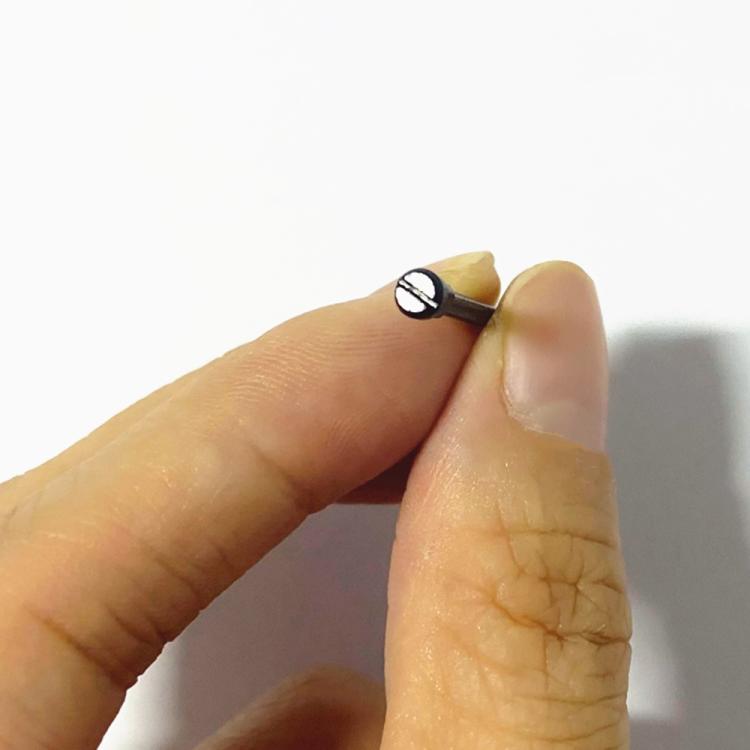 For Amazfit T-Rex 3 2pcs/Pair Flathead Watch Band Replacement Lug Rod with Screwdriver(Black) - For Amazfit by buy2fix | Online Shopping UK | buy2fix