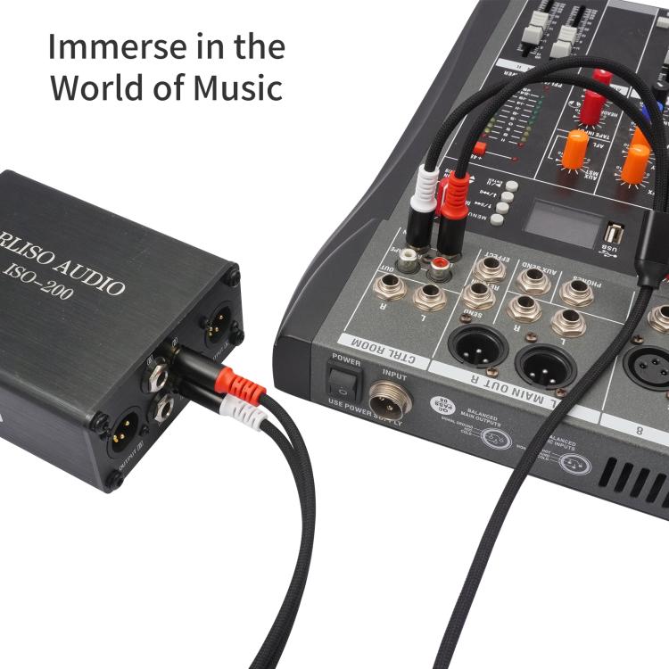 2 RCA Male to 2 RCA Male Audio Cable, Length:3m(Black) - RCA Cable by buy2fix | Online Shopping UK | buy2fix