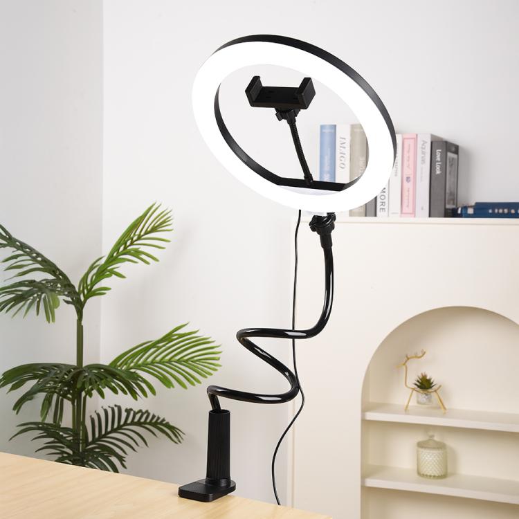 10 inch Striped Selfie Live Streaming Photography Lazy Stand LED Ring Fill Light Set(White) - Ring Light by buy2fix | Online Shopping UK | buy2fix