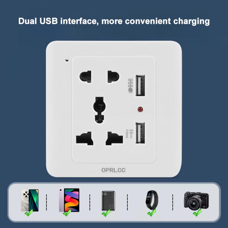 Universal Standard Wall Socket with 2 x USB Ports by buy2fix