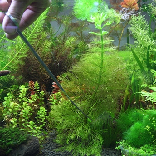 3 in 1 Stainless Steel Scissors, Tweezers and Clip, Tree Plant Grass Miniatures Aquarium Fish Tank Landscape Trim Tools - Cleaning Tools by buy2fix | Online Shopping UK | buy2fix