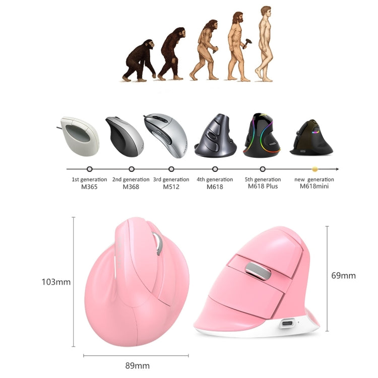 DELUX M618 Mini 2.4G Wireless 2400DPI USB Rechargeable Ergonomic Vertical Mouse (White) by DELUX