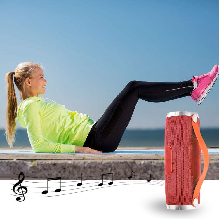 T&G TG109 Portable Wireless Bluetooth V4.2 Stereo Speaker with Handle, Built-in MIC, Support Hands-free Calls & TF Card & AUX IN & FM(Red) - Desktop Speaker by T&G | Online Shopping UK | buy2fix