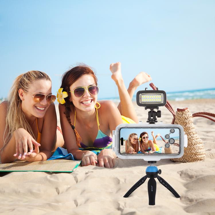 PULUZ 20 LEDs 40m Waterproof IPX8 Studio Light Video & Photo Light with Hot Shoe Base Adapter & Quick Release Buckle & Long Screw & 2 x Filter Plates for GoPro HERO10 Black / HERO9 Black / HERO8 Black ... n /4 /3+ /3 /2 /1, Xiaoyi and Other Action Cameras by PULUZ