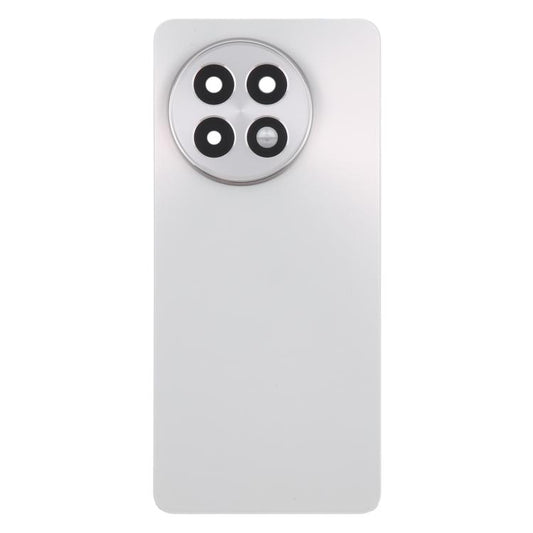For OnePlus 13R CPH2645 CPH2691 CPH2647 Original Glass Battery Back Cover with Camera Lens(Matte Silver) - Back Cover by buy2fix | Online Shopping UK | buy2fix