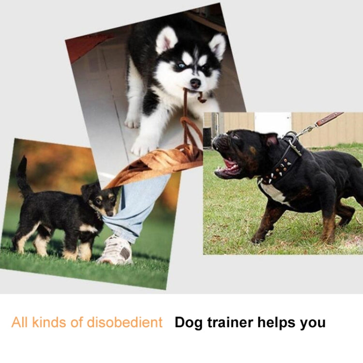 Electric Dog Remote Control Training(White) by buy2fix