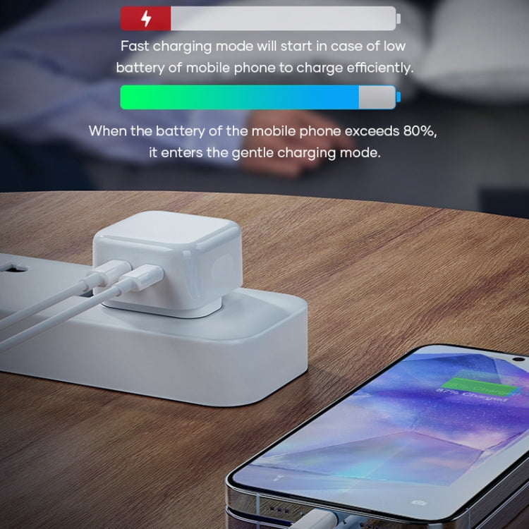 ROCK T58 35W Dual USB-C / Type-C Ports PD Charger, CN Plug by ROCK