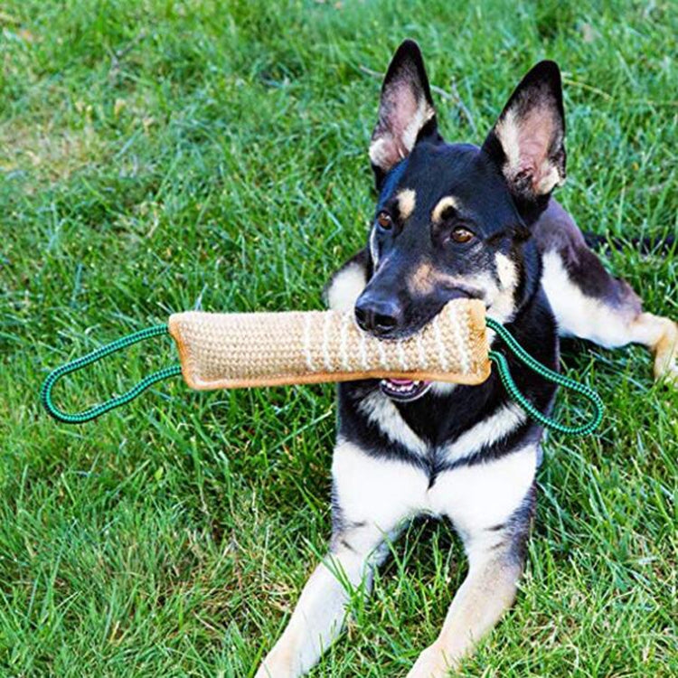 Dog Training Hemp Bite Stick Dog Bite Stick Dog Training Supplies(A4) by buy2fix