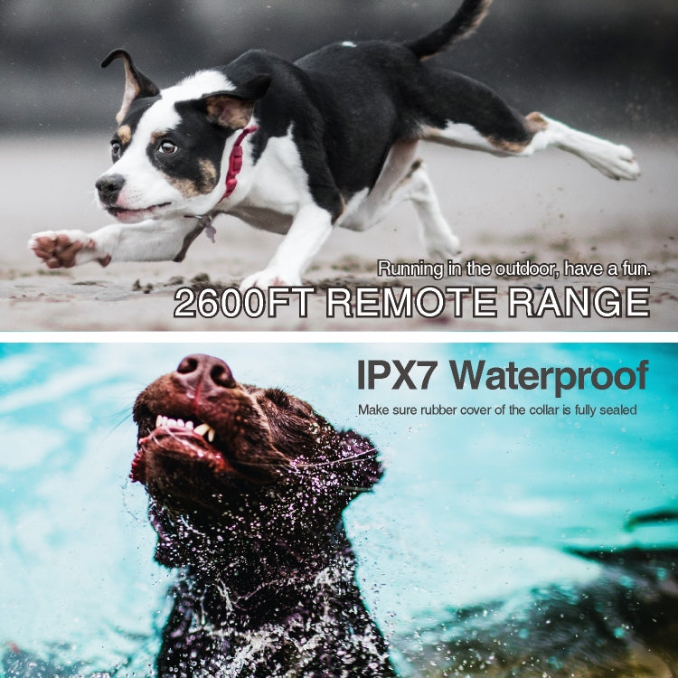 Intelligent Remote Control Dog Trainer Automatic Barking Stop Collar(Black) by buy2fix