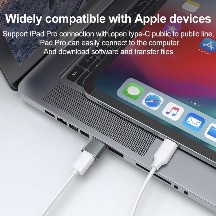 USB 2.0 Male To USB-C / Type-C Female Adapter, Support Charging & Transmission Data(Silver) - Type-C Adapter by buy2fix | Online Shopping UK | buy2fix