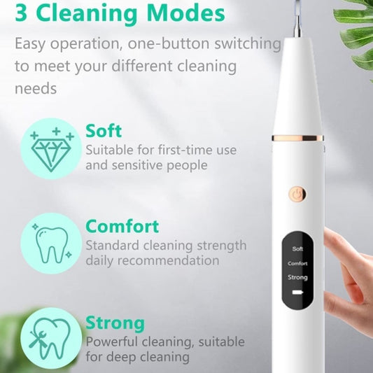 Ultrasonic Electric Dental Scaler Teeth Plaque Cleaner Dental Stone Removal With LED Light, Spec: Package B by buy2fix