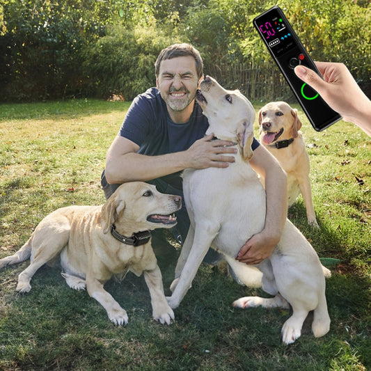 Ordinary Screen Remote Control Pet Electric Shock Circular Dog Trainer(Black) by buy2fix