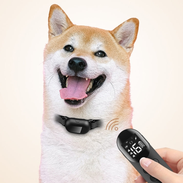 Pet Dog Training Anti-barking Collar Smart Remote Control(Random Color Delivery) by buy2fix