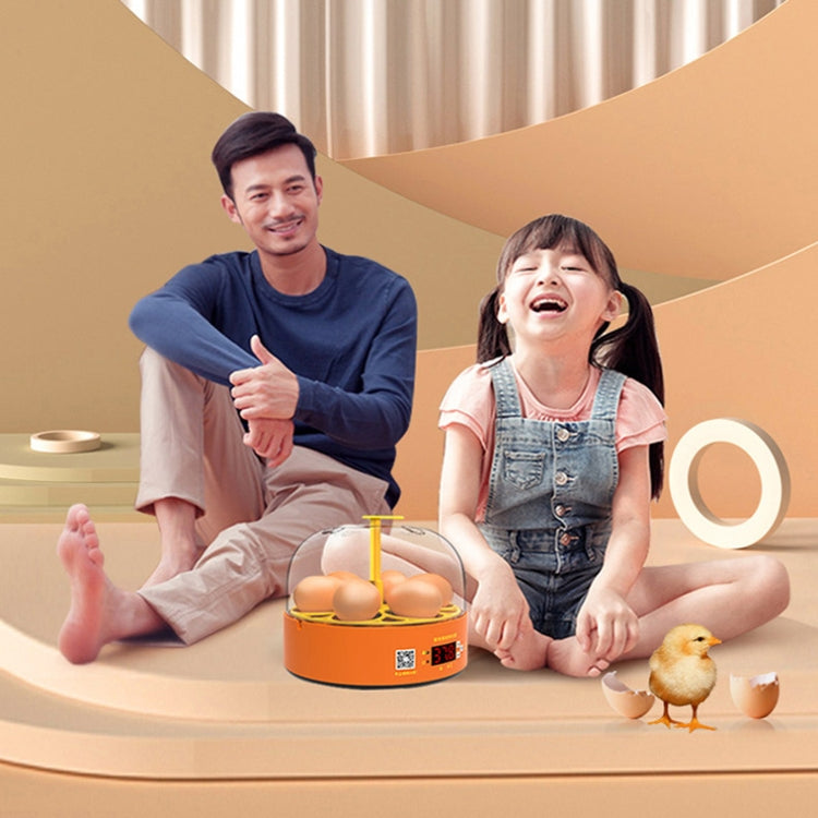 6-Eggs Small Household Experimental Children Smart Chicken Incubators, Spec: Automatic AU Plug by buy2fix