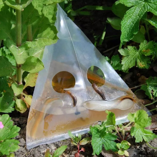 20pcs /Pack Snail Slug Trap Bag Garden Vegetable Plot Trap Transparent Plastic Bag by buy2fix