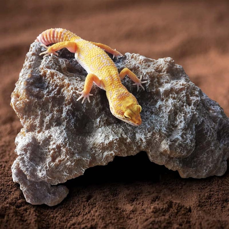 M Reptile Simulation Rocks Hideaway House Turtle Sunbed - Reptile Supplies by buy2fix | Online Shopping UK | buy2fix