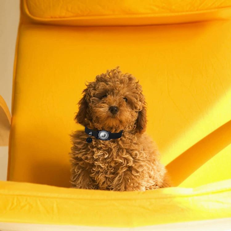 For AirTag Tracker Waterproof Protection Case Pet Leather Collar Anti Lost Cat Locator Collar(Green) - Pet Series by buy2fix | Online Shopping UK | buy2fix