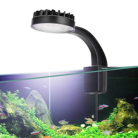 220V 5W Blue White Aquarium LED Clip Light with 12 LEDs USB Powered Mini Fish Tank Light for Aquatic Plants, Water Grass & Small Tanks(White) - Fish Tank Lamps by buy2fix | Online Shopping UK | buy2fix
