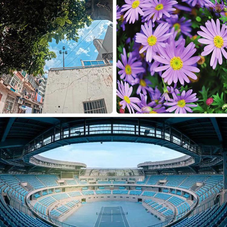 3 In 1 Set High Definition Camera Mobile Phone Lens With Lens Clip - Macro & Wide-angle by buy2fix | Online Shopping UK | buy2fix