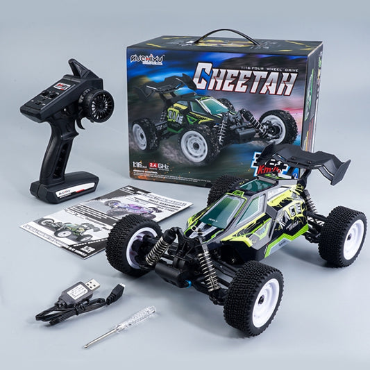 SCY-16201 2.4G 1:16 Electric 4WD RC Racing Off-road Vehicle Car Toy (Green) by buy2fix