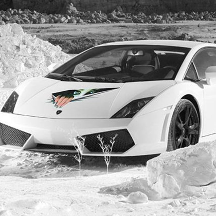 3D Characteristic Digital Simulation Horrible Style Car Paper Sticker by buy2fix