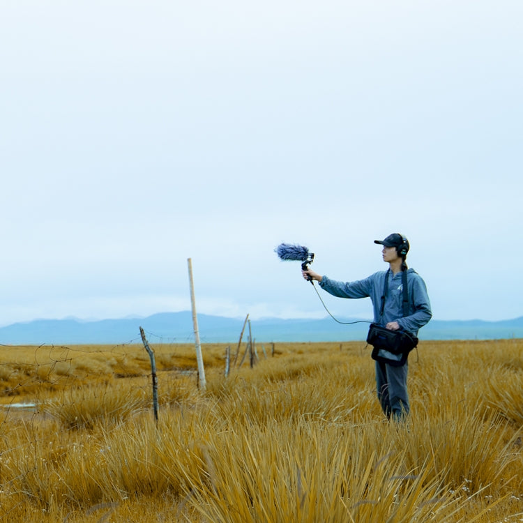 Deity V-Mic D3 Directional Condenser Shotgun Microphone(Black) by Aputure