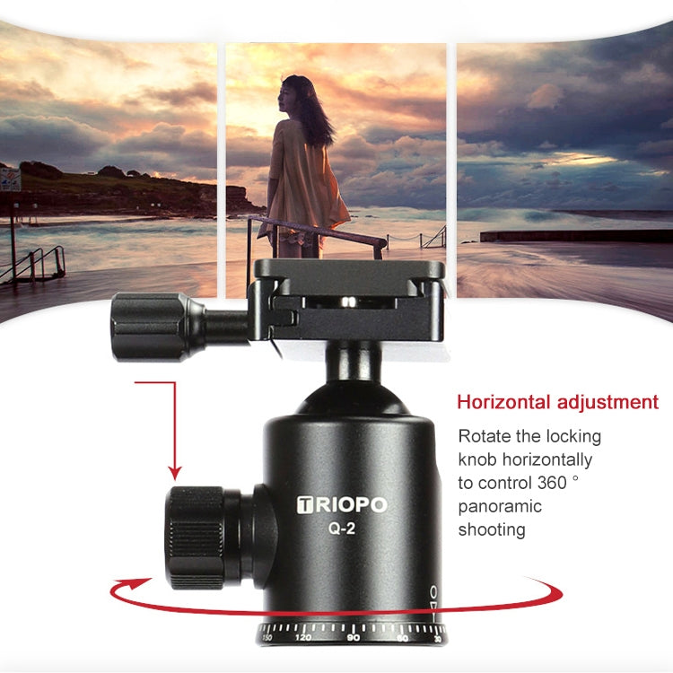 TRIOPO 888 Adjustable Portable Carbon Fiber Tripod with Q-2 Ball Head for SLR Camera, Pipe diameter: 28cm by TRIOPO