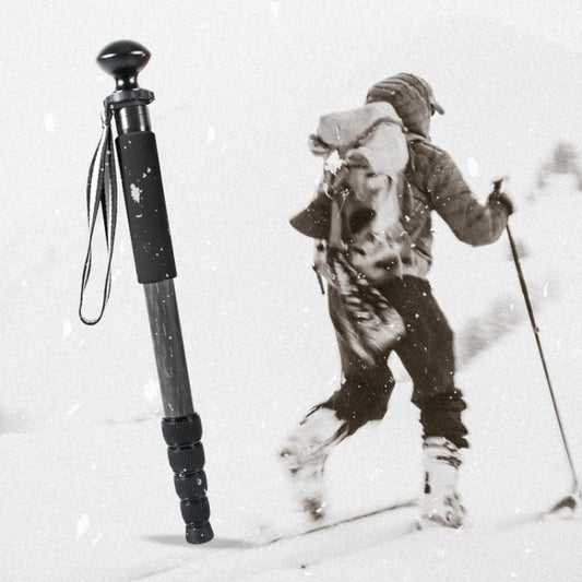 BEXIN P285-C Portable Travel Outdoor DSLR Camera Carbon Fiber Monopod Holder (Black) by BEXIN