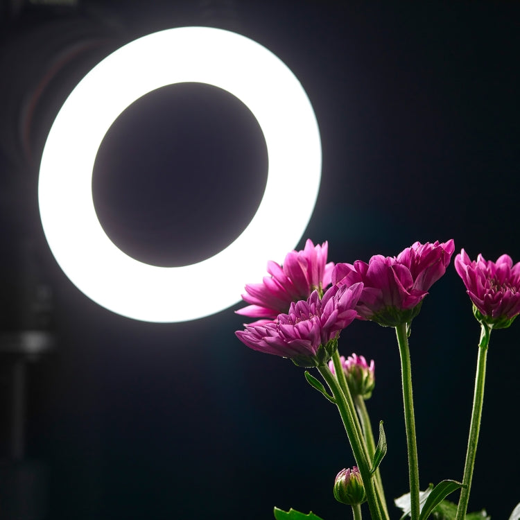 Godox Ring72 Macro Ring 48 LED Flash Light with 8 Different Size Adapter Rings(Black) by Godox