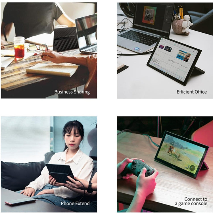 FEELWORLD DH101 10.1 inch Portable External Monitor, Dual Full Function USB-C Ports by FEELWORLD