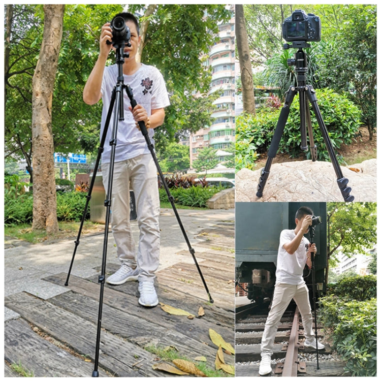 TRIOPO Oubao A-308S Adjustable Portable Aluminum Alloy Tripod with Ball Head for SLR Camera by TRIOPO