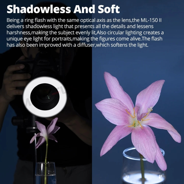 Godox ML-150II On-camera Macro Ring Flash Light with 8 Different Size Adapter Rings (Black) by Godox