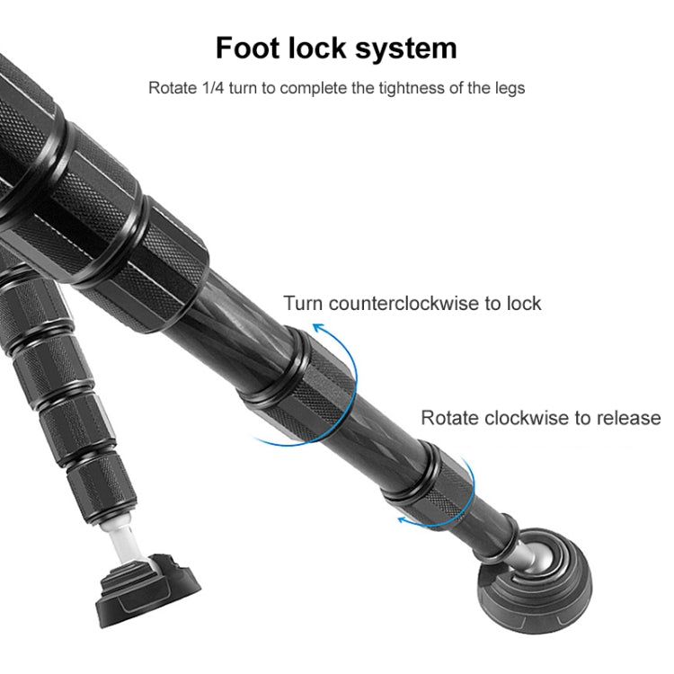 BEXIN P365C Camera Carbon Fiber Monopod Travel Live Selfie Bracket Holder by BEXIN