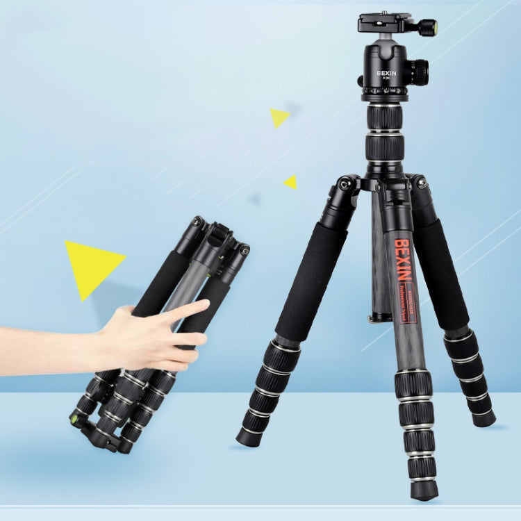 BEXIN BX285C K36 Portable Carbon Fiber Tripod for Dslr Digital DV Camcorder by BEXIN
