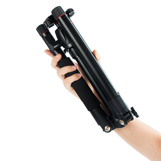 BEXIN MS12 Portable Lightweight Camera Ball Head Tripods Stand for Digital SLR DSLR camera by BEXIN