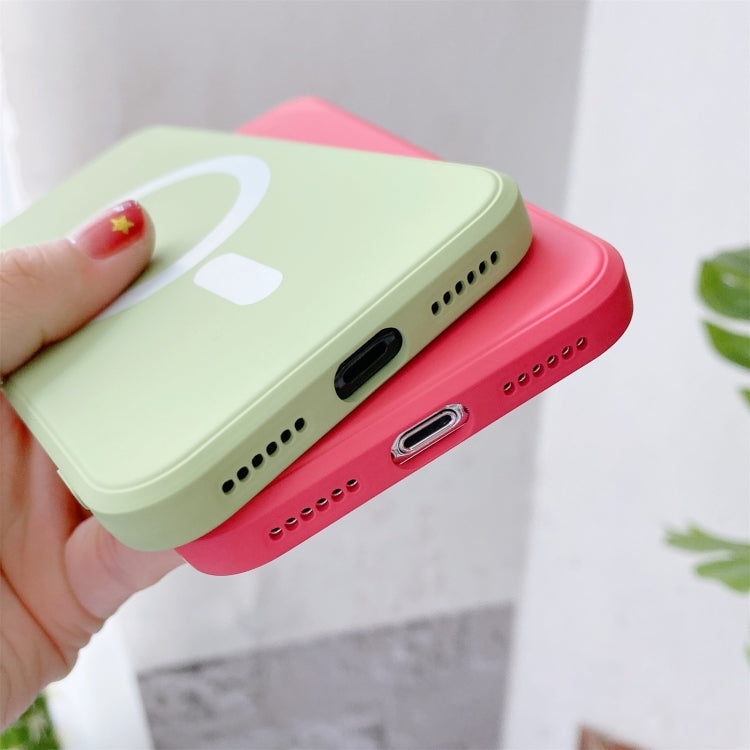 For iPhone X / XS Liquid Silicone Full Coverage Shockproof Magsafe Case(Light Green) by buy2fix